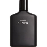 Zara- Man Silver Edt