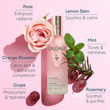 Caudalie Beauty Elixir Prep, Set, Glow Face Mist 100 ml