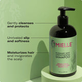 Mielle Rosemary Mint Strengthening Shampoo
