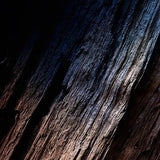 Yves Saint Laurent Y Eau De Parfum Miniature 7.5ml