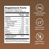 Vital Proteins Chocolate Collagen Peptides – 13.5 oz