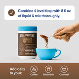 Vital Proteins Chocolate Collagen Peptides – 13.5 oz