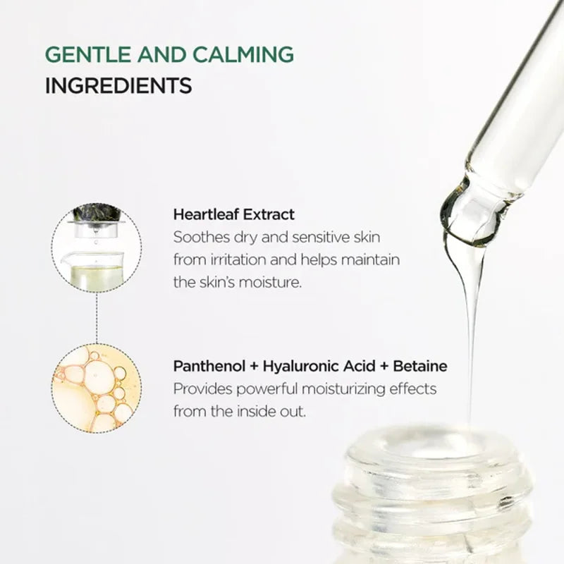 Anua Houttuynia Cordata 80% Moisture Soothing Ampoule