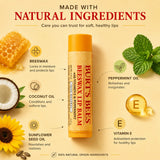 Burt's Bees Beeswax Lip Balm with Vitamin E & Peppermint