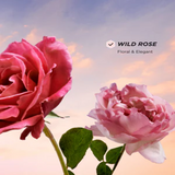 Gisou Honey Infused Hair Perfume Floral Edition - Wild Rose