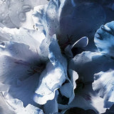 Yves Saint Laurent Y Eau De Parfum Miniature 7.5ml